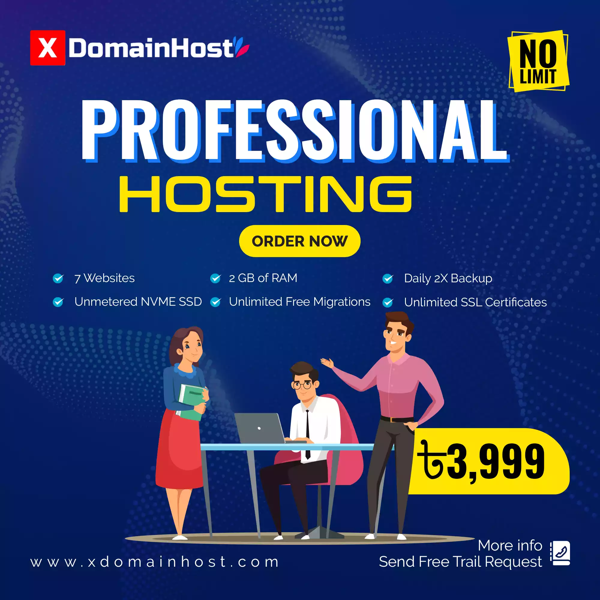 Professional Hosting